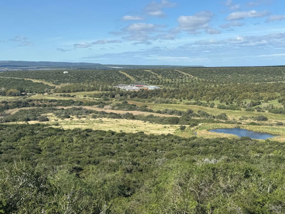 Mixed use farm for sale in Addo - 1GC1739746 Mixed use farm for sale in Addo - 1GC1739746