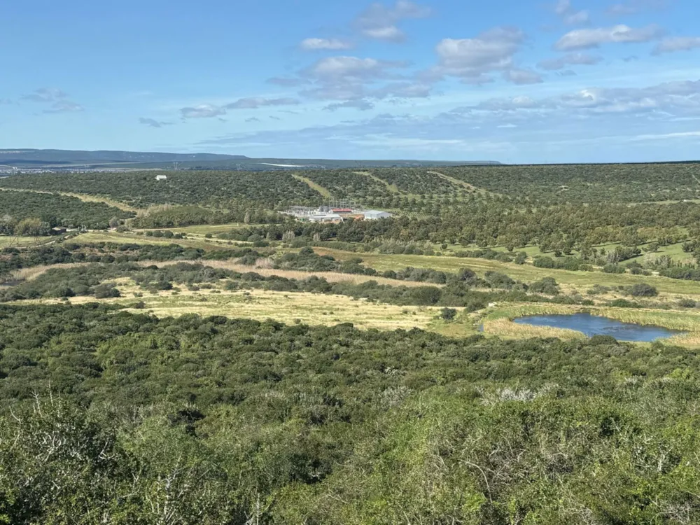 Mixed use farm for sale in Addo - 1GC1739746 Mixed use farm for sale in Addo - 1GC1739746