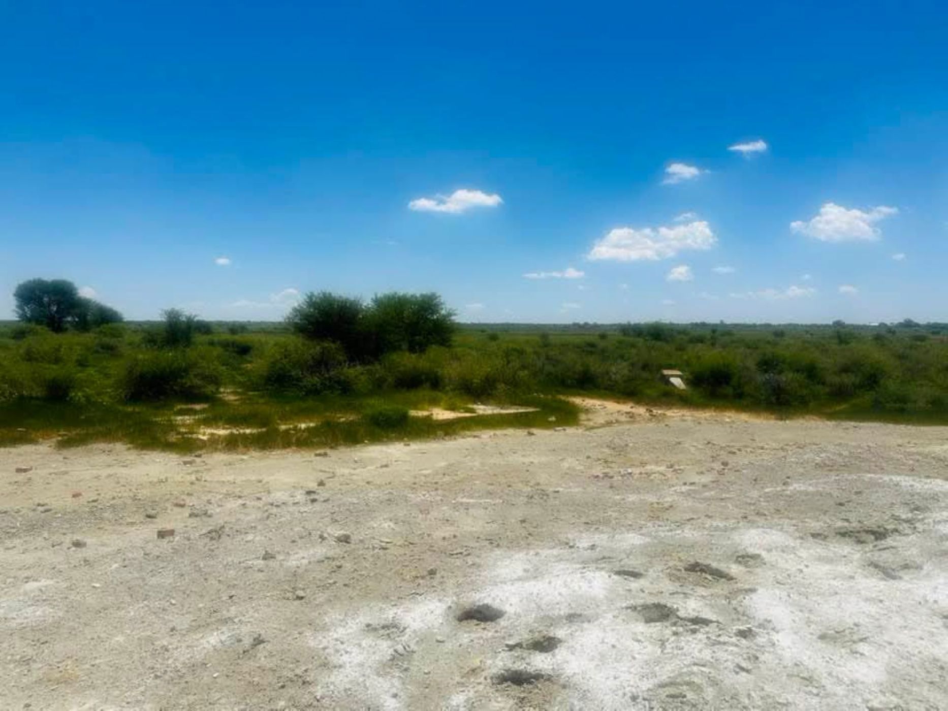 Farm vacant land for sale in Odendaalsrus - 1WM1739805