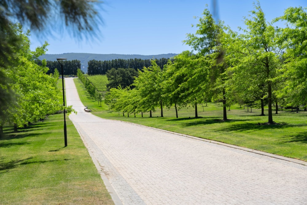 Residential vacant land for sale in Vini Fera at Anura - ST1739889 Residential vacant land for sale in Vini Fera at Anura - ST1739889