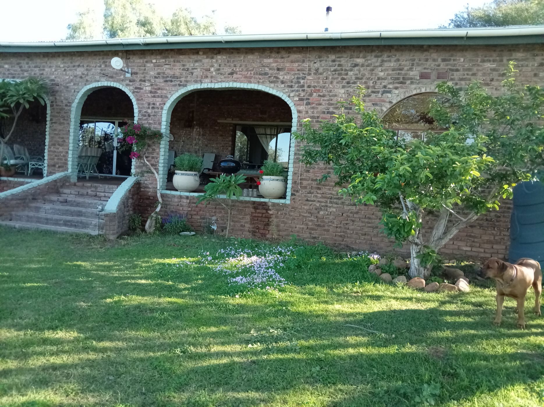 Equestrian farm for sale in Oudtshoorn - 1OU1740602