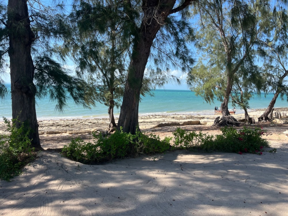Beachfront villa for sale in Vilanculos, Mozambique - 3MQ1740069 Beachfront villa for sale in Vilanculos, Mozambique - 3MQ1740069