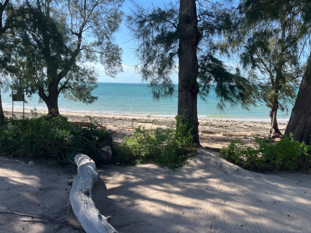 Beachfront villa for sale in Vilanculos, Mozambique - 3MQ1740069 Beachfront villa for sale in Vilanculos, Mozambique - 3MQ1740069