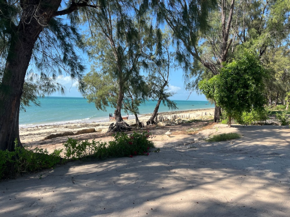 Beachfront villa for sale in Vilanculos, Mozambique - 3MQ1740069 Beachfront villa for sale in Vilanculos, Mozambique - 3MQ1740069