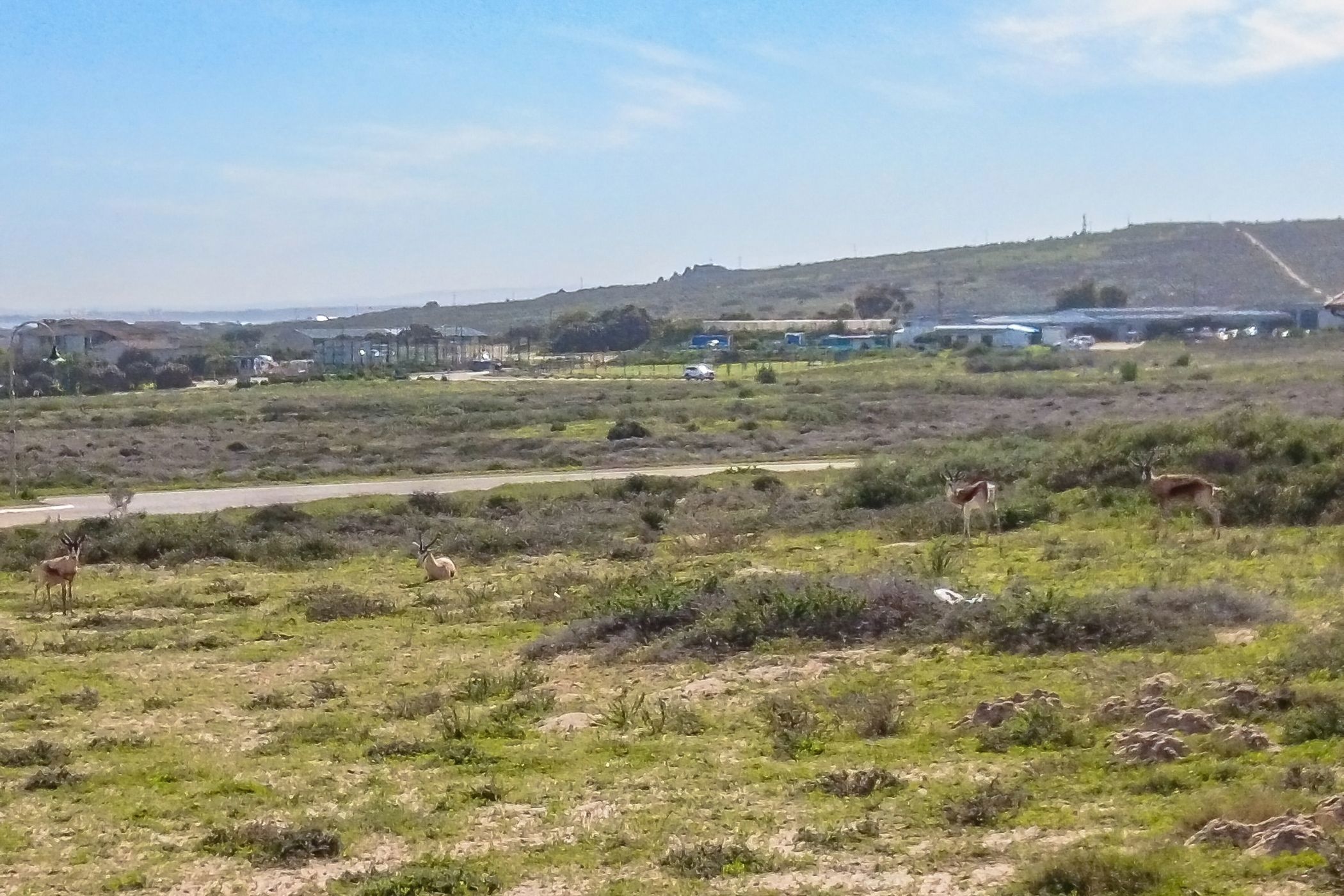 Residential vacant land for sale in Langebaan Country Estate - LA1740514