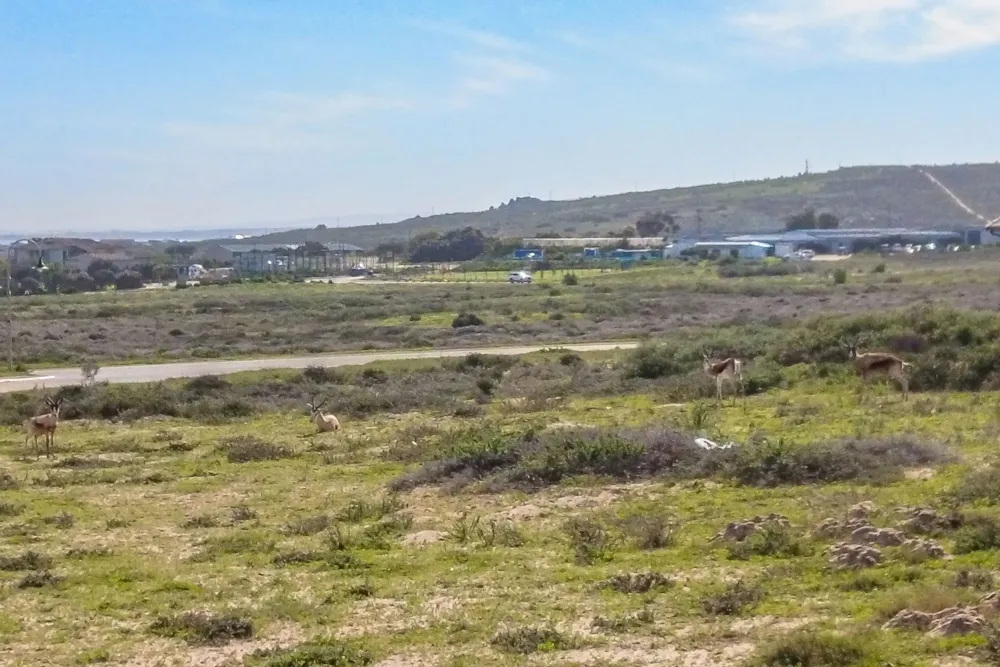 Residential vacant land for sale in Langebaan Country Estate - LA1740514 Residential vacant land for sale in Langebaan Country Estate - LA1740514