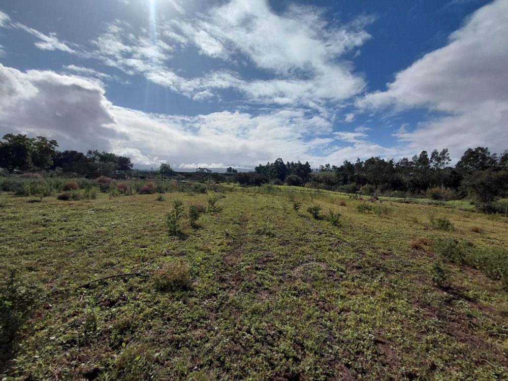 Farm vacant land for sale in Heidelberg, Garden Route - 1SR1740229 Farm vacant land for sale in Heidelberg, Garden Route - 1SR1740229