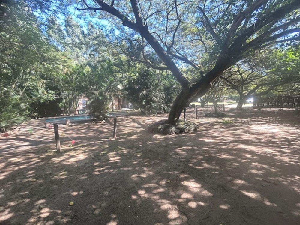 Plantation for sale in Kwambonambi - 1RY1740549 Plantation for sale in Kwambonambi - 1RY1740549