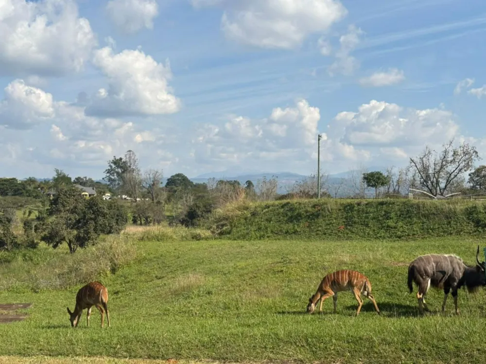 Vacant land for sale in Doornhoek - 1TA1740497