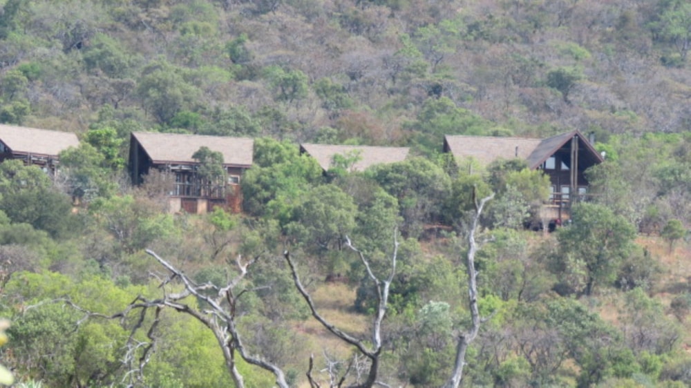 Single-storey house for sale in Modimolle Rural - 1MDM1740596 Single-storey house for sale in Modimolle Rural - 1MDM1740596