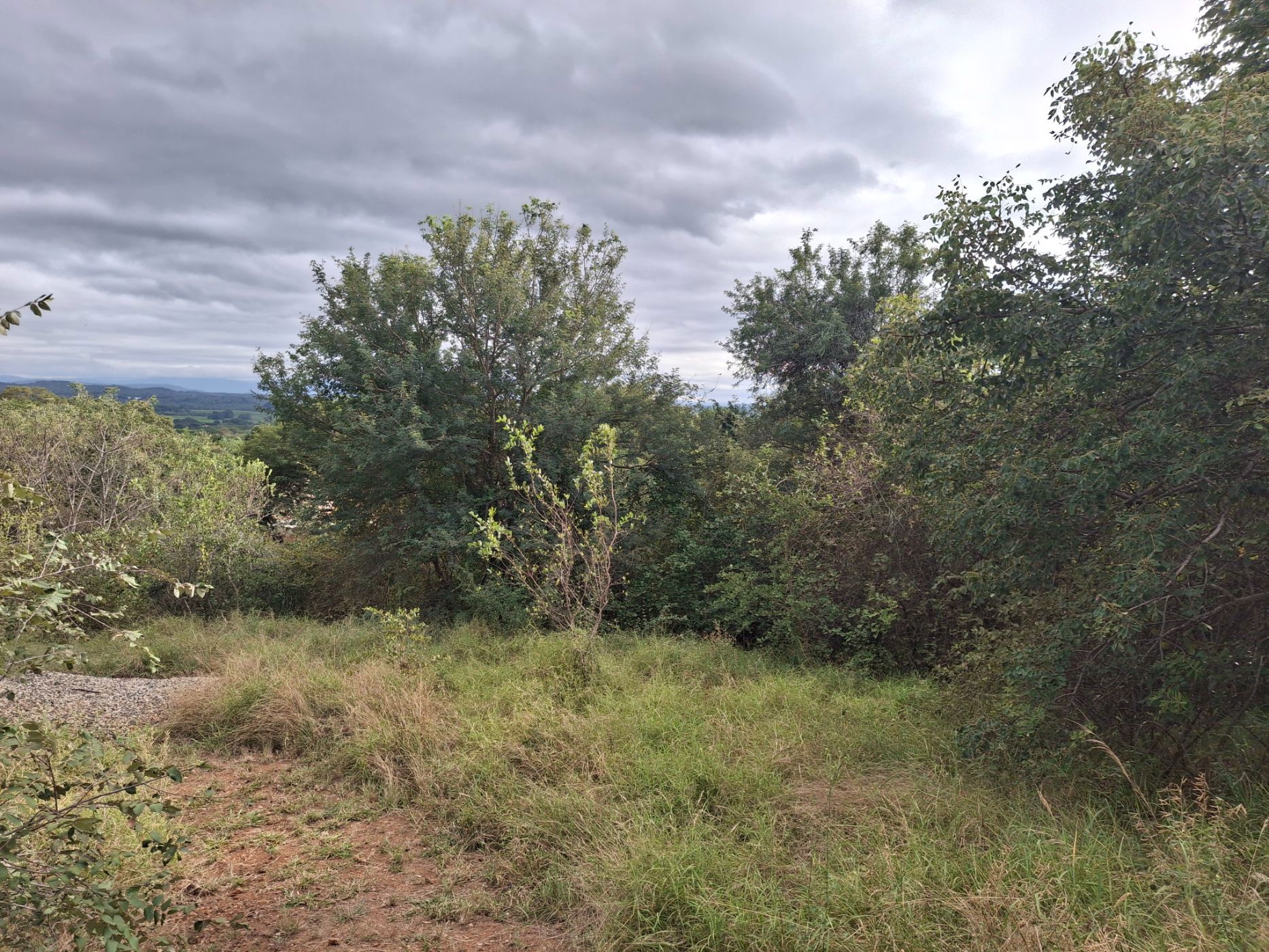 Residential vacant land for sale in Letsitele - 1TA1740639