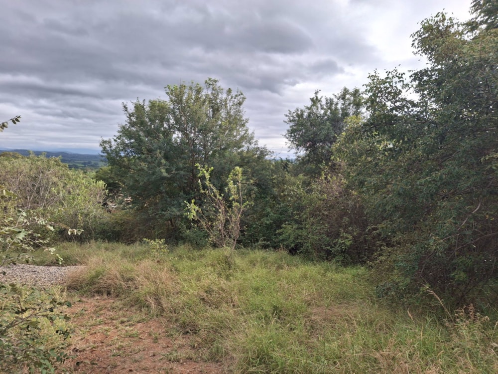 Residential vacant land for sale in Letsitele - 1TA1740639