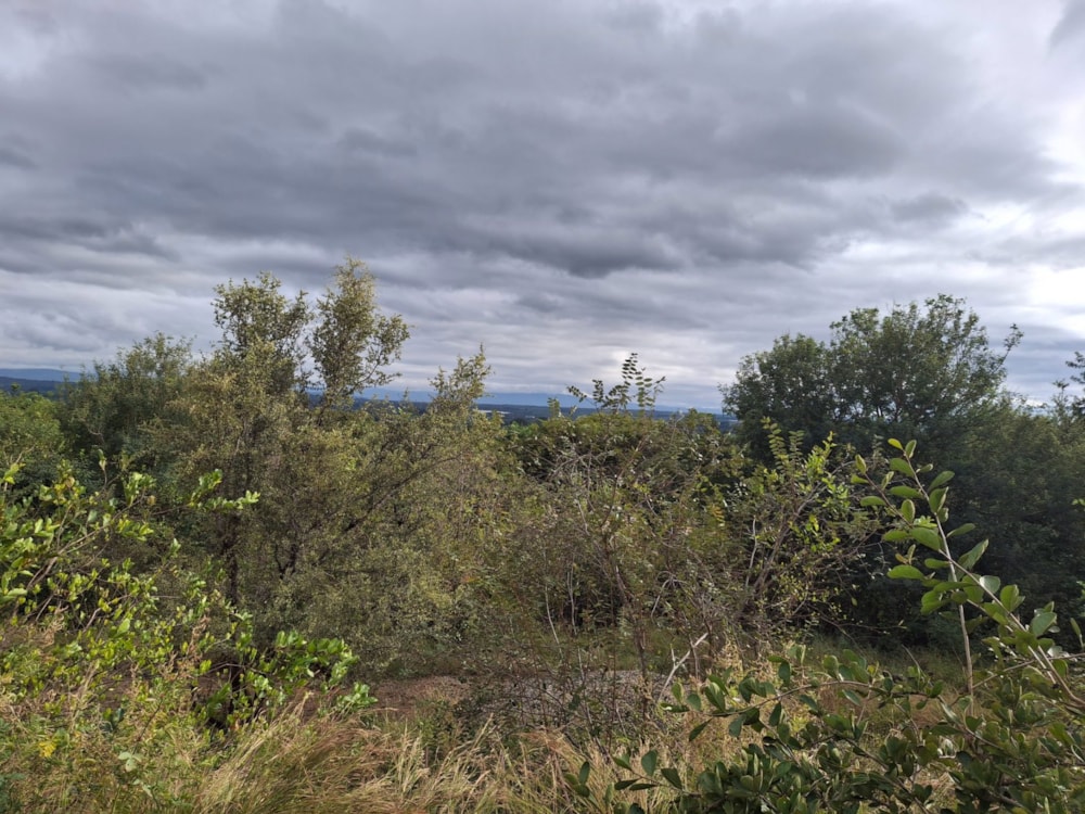 Residential vacant land for sale in Letsitele - 1TA1740639