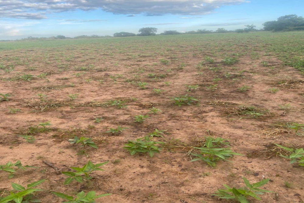 Mixed use farm for sale in Mashonaland West, Zimbabwe - 3ZB1740690 Mixed use farm for sale in Mashonaland West, Zimbabwe - 3ZB1740690