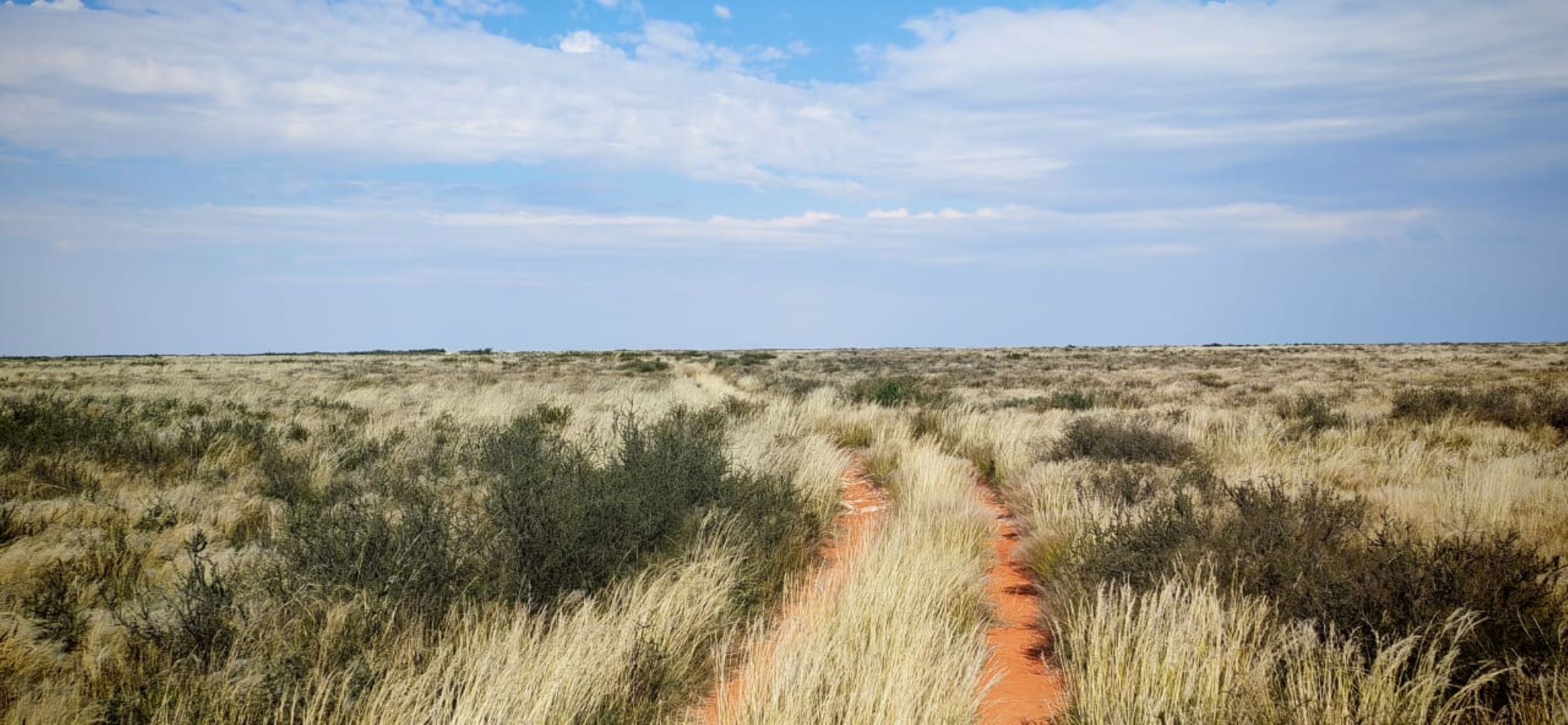 Livestock farm for sale in Kalahari Farms - 1KAH1740962