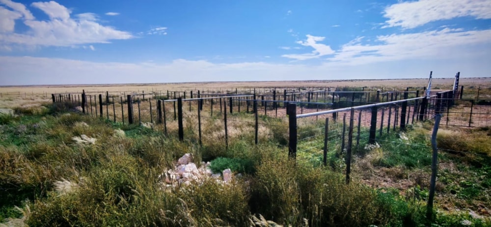 Livestock farm for sale in Marydale - 1KAH1740962