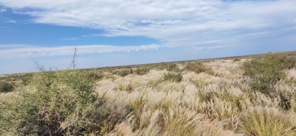 Livestock farm for sale in Marydale - 1KAH1740962