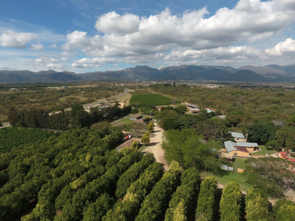 Guesthouse for sale in Barberton - 1NK1741051 Guesthouse for sale in Barberton - 1NK1741051