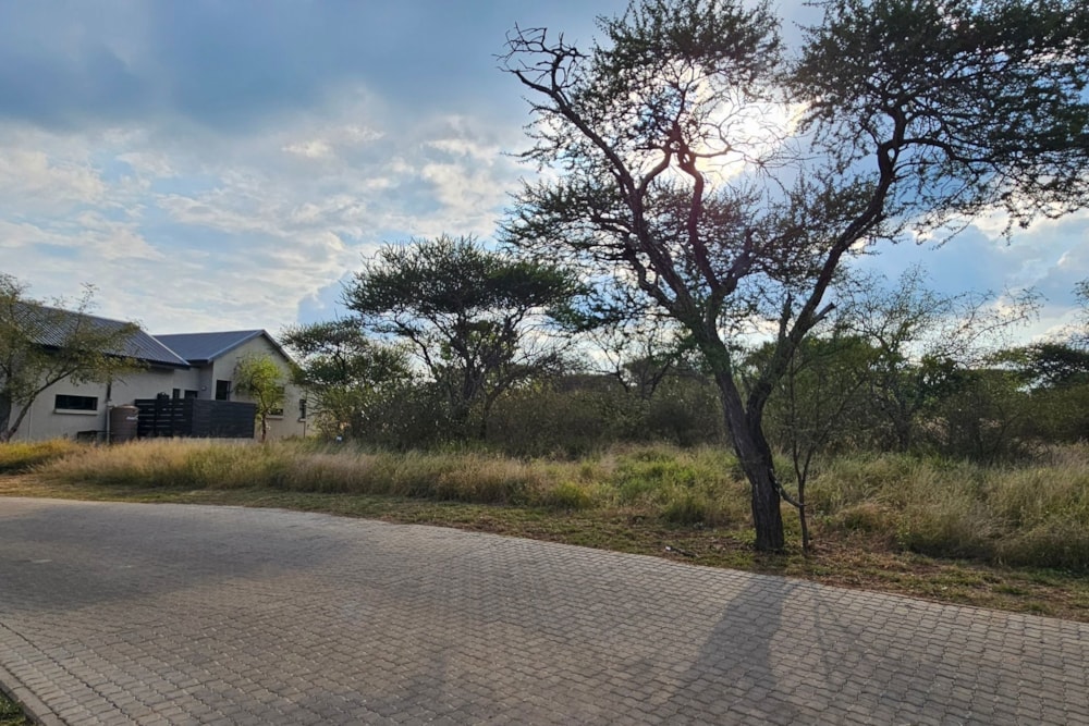 Vacant land for sale in Zandspruit Bush & Aero Estate - 1HS1741064