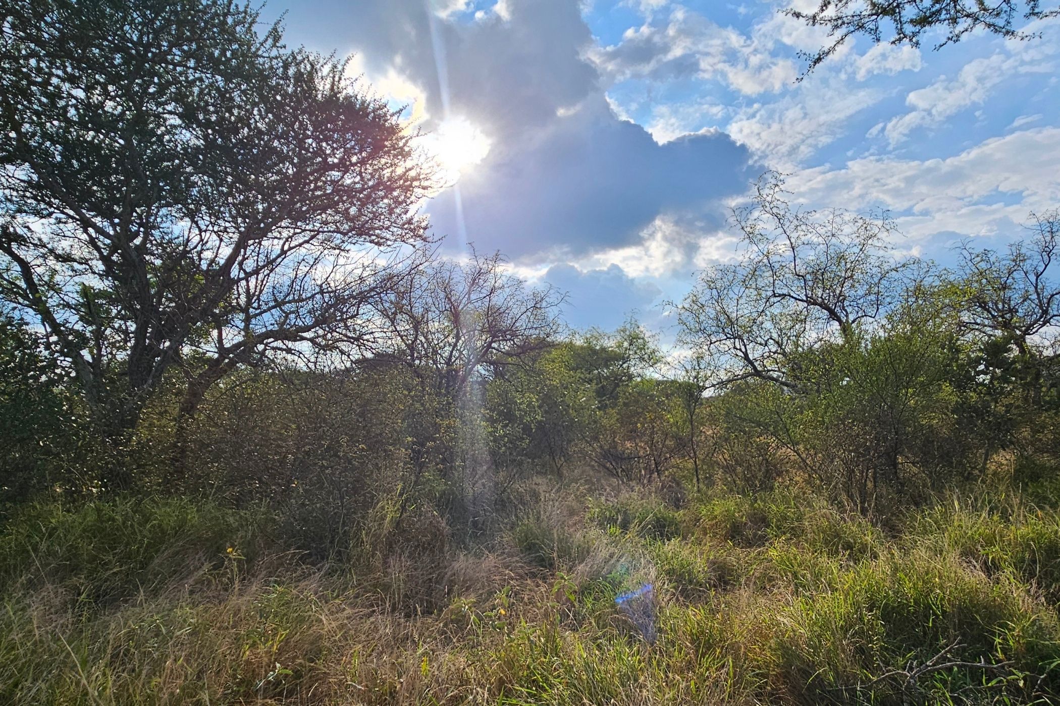 Vacant land for sale in Zandspruit Bush & Aero Estate - 1HS1741064