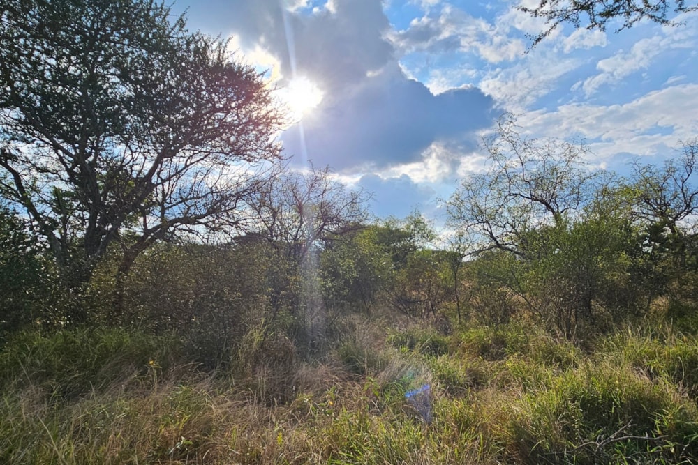 Vacant land for sale in Zandspruit Bush & Aero Estate - 1HS1741064