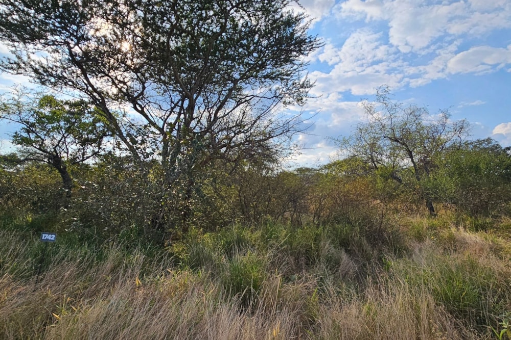 Vacant land for sale in Zandspruit Bush & Aero Estate - 1HS1741064