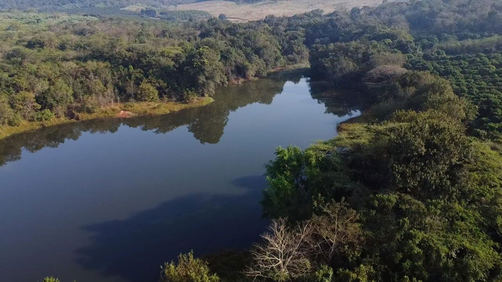 Mango farm for sale in Tzaneen, Limpopo Province - 1TA1741071