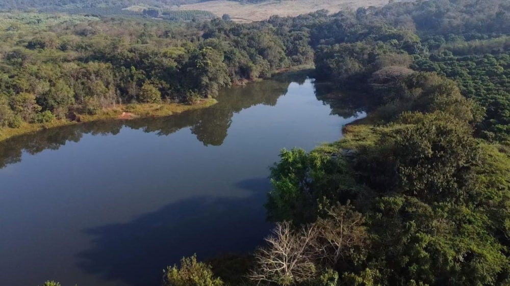 Mango farm for sale in Tzaneen, Limpopo Province - 1TA1741071
