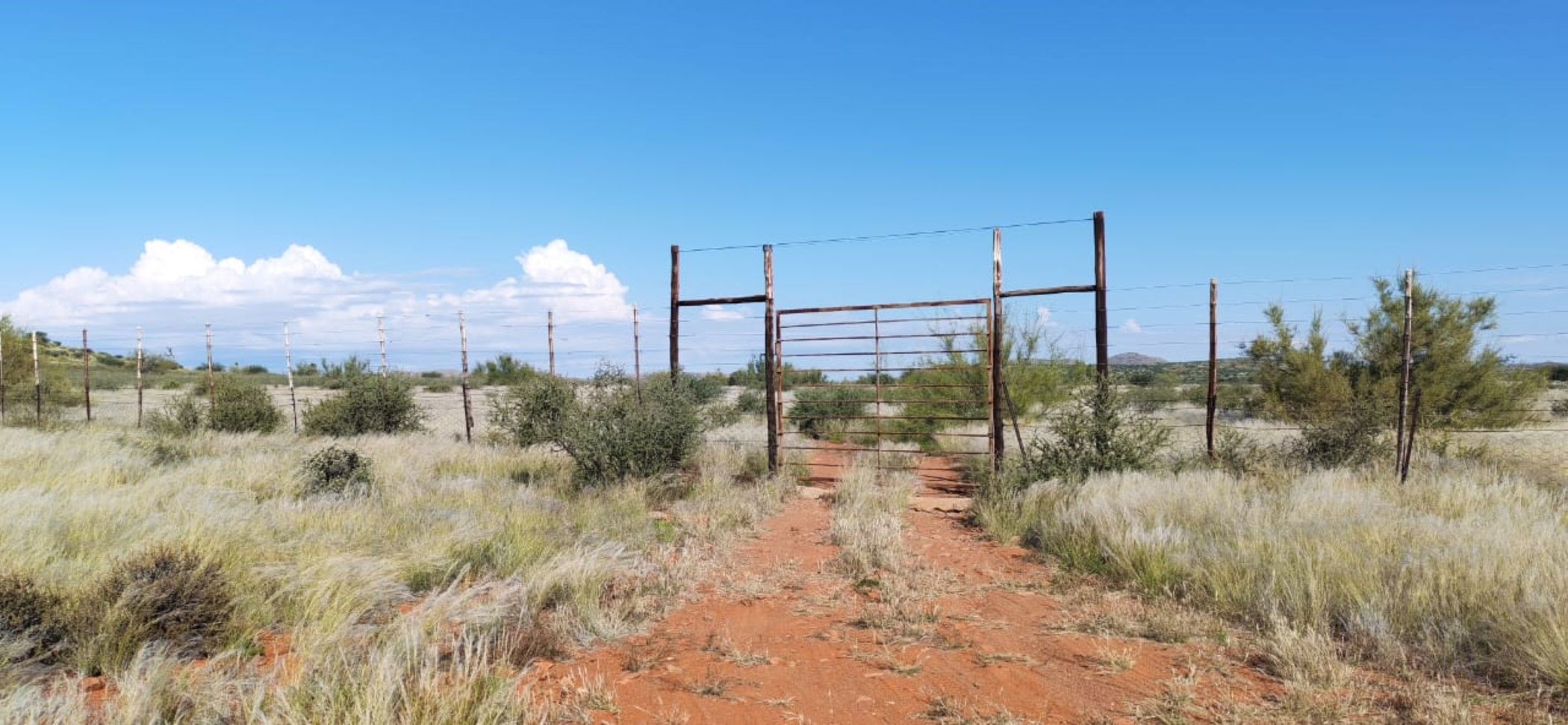Livestock farm for sale in Groblershoop - 1KAH1741204