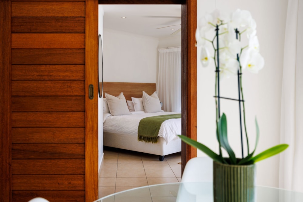 Apartment to rent in Plettenberg Bay - 1KG1741174 Apartment to rent in Plettenberg Bay - 1KG1741174
