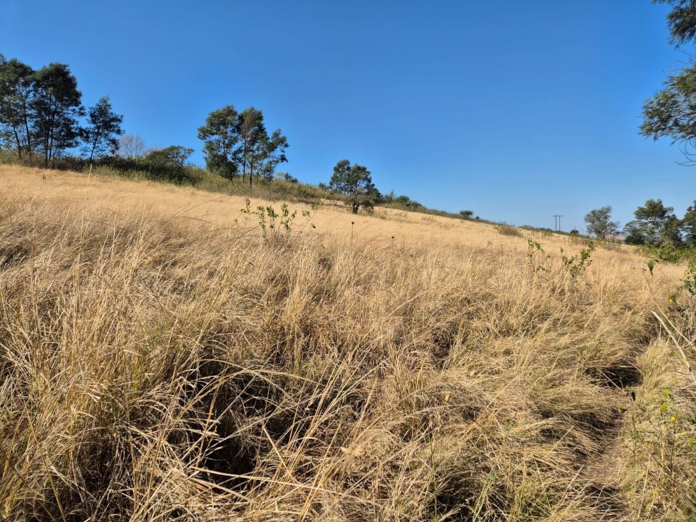 Farm vacant land for sale in Manderston, Camperdown - 1PM1741345