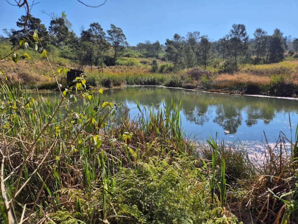 Farm vacant land for sale in Manderston, Camperdown - 1PM1741345