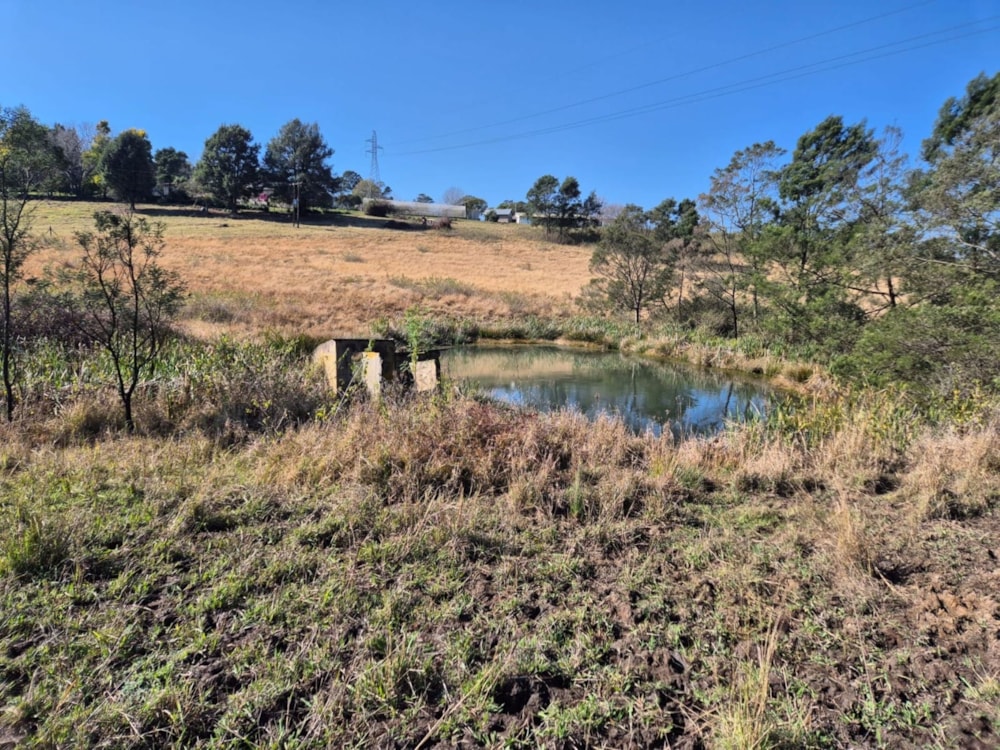Farm vacant land for sale in Manderston, Camperdown - 1PM1741345