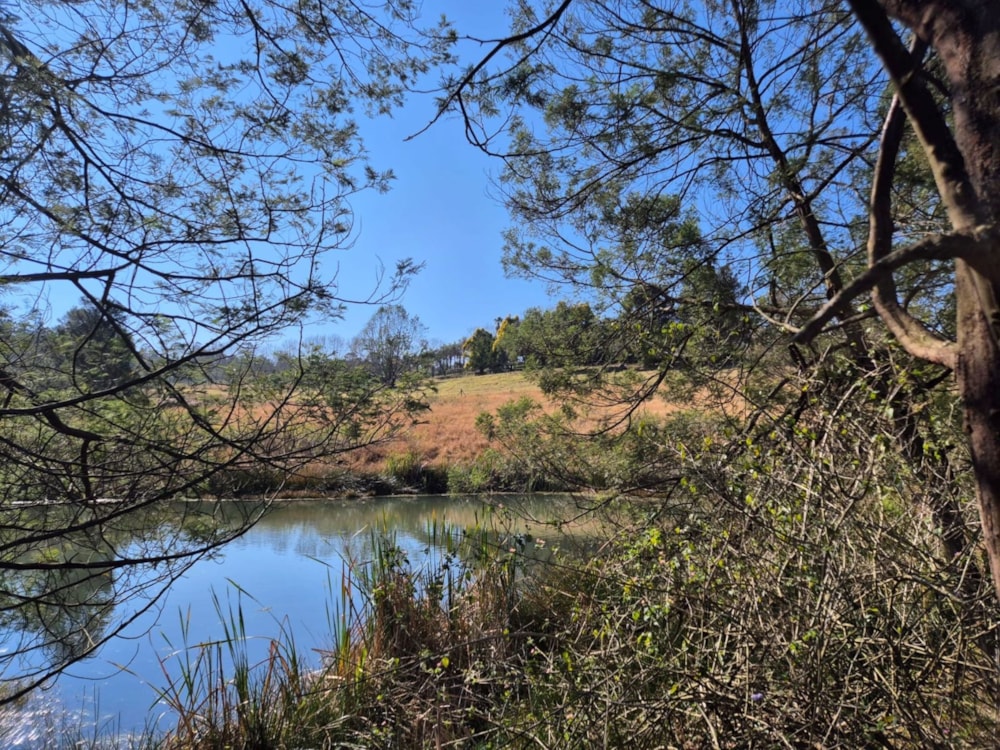 Farm vacant land for sale in Manderston, Camperdown - 1PM1741345