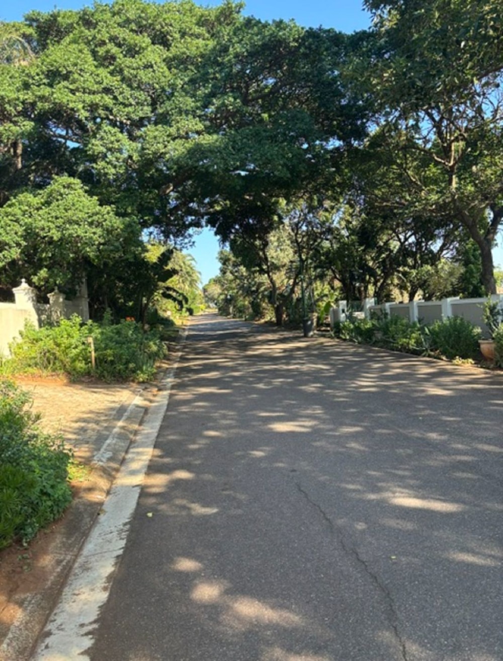 Vacant land for sale in Kelso - 1SI1741252