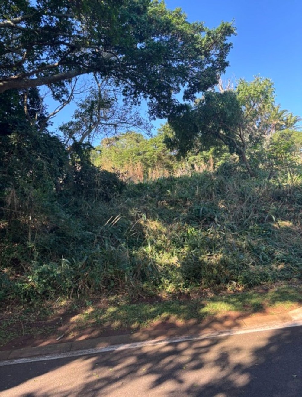 Vacant land for sale in Kelso - 1SI1741252