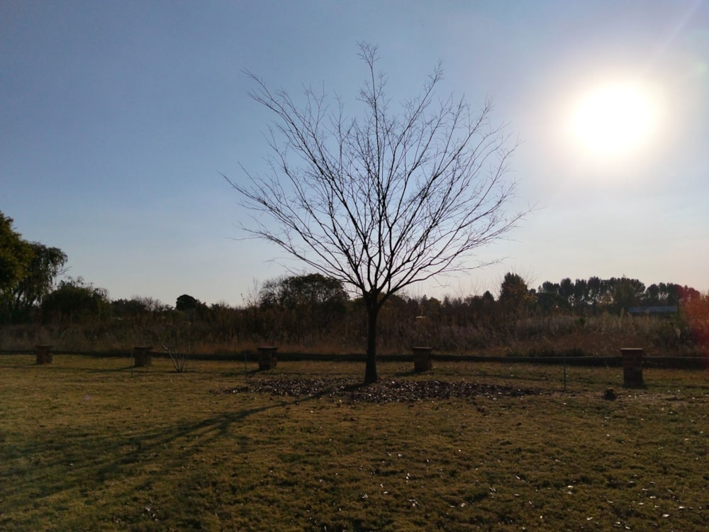 Smallholding for sale in Glen Donald - 1VT1741711
