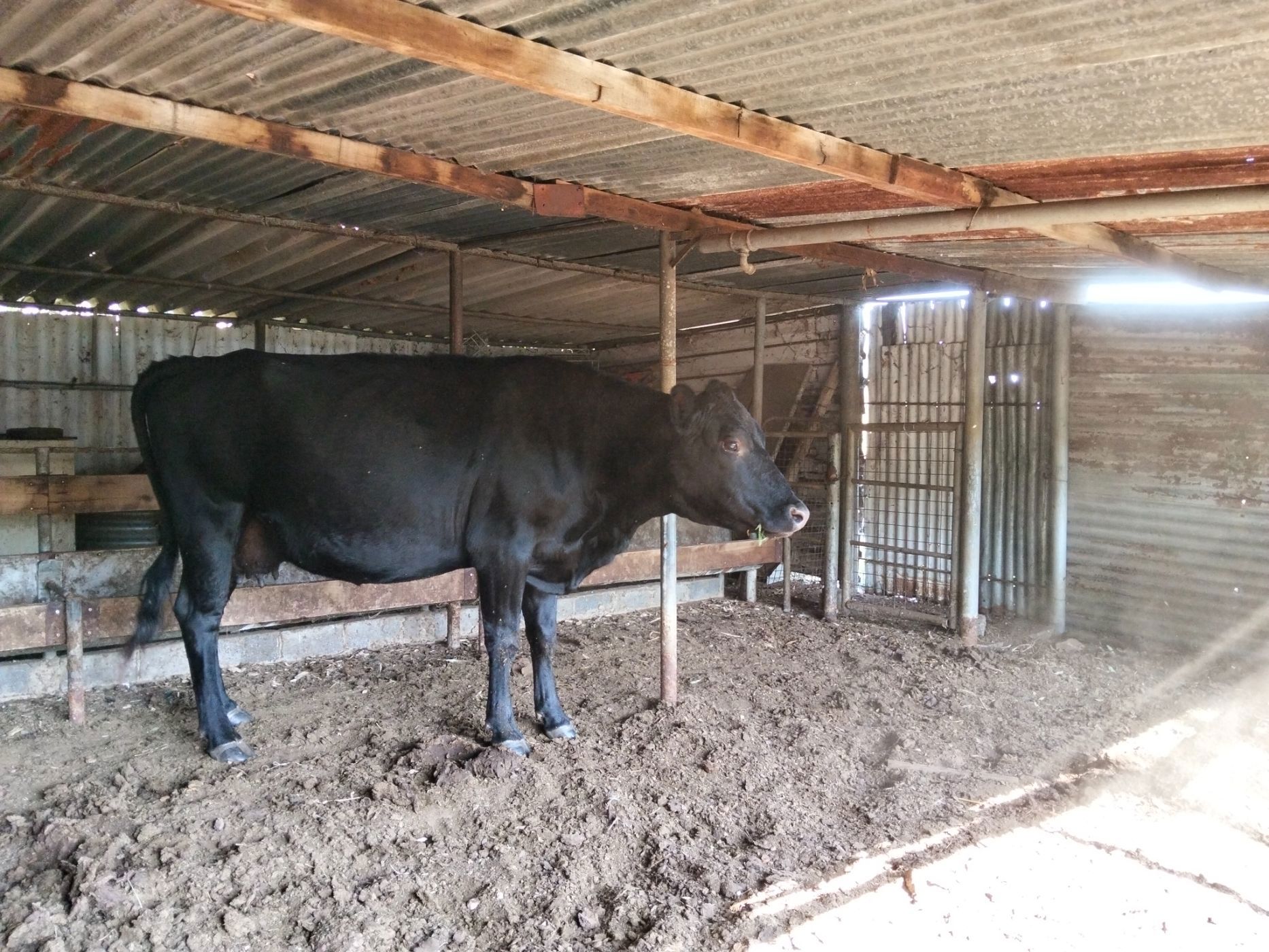 Smallholding for sale in Meyerton - 1VT1741630