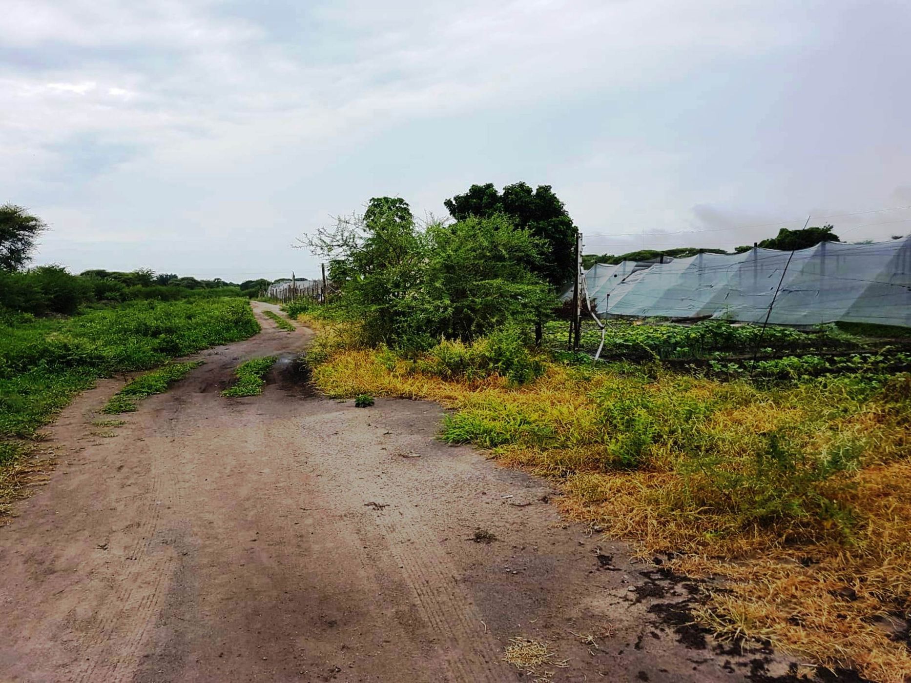 Vacant land for sale in Chobe District, Botswana - 3BO1741473