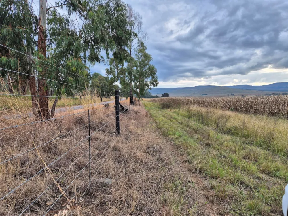 Mixed use farm for sale in Dullstroom - 1DS1740705 Mixed use farm for sale in Dullstroom - 1DS1740705