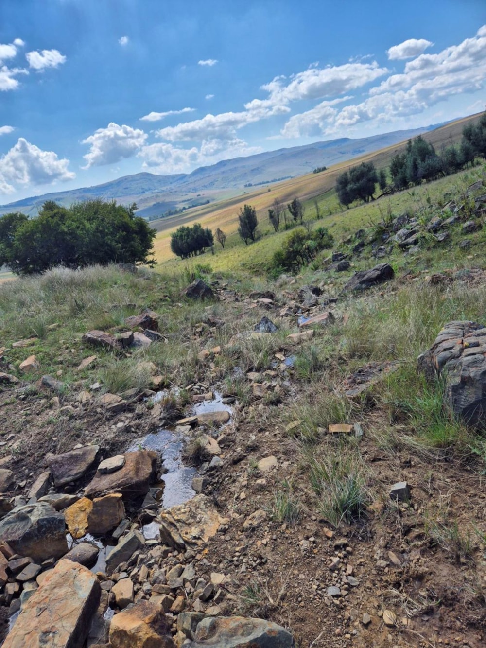 Mixed use farm for sale in Dullstroom - 1DS1740705 Mixed use farm for sale in Dullstroom - 1DS1740705