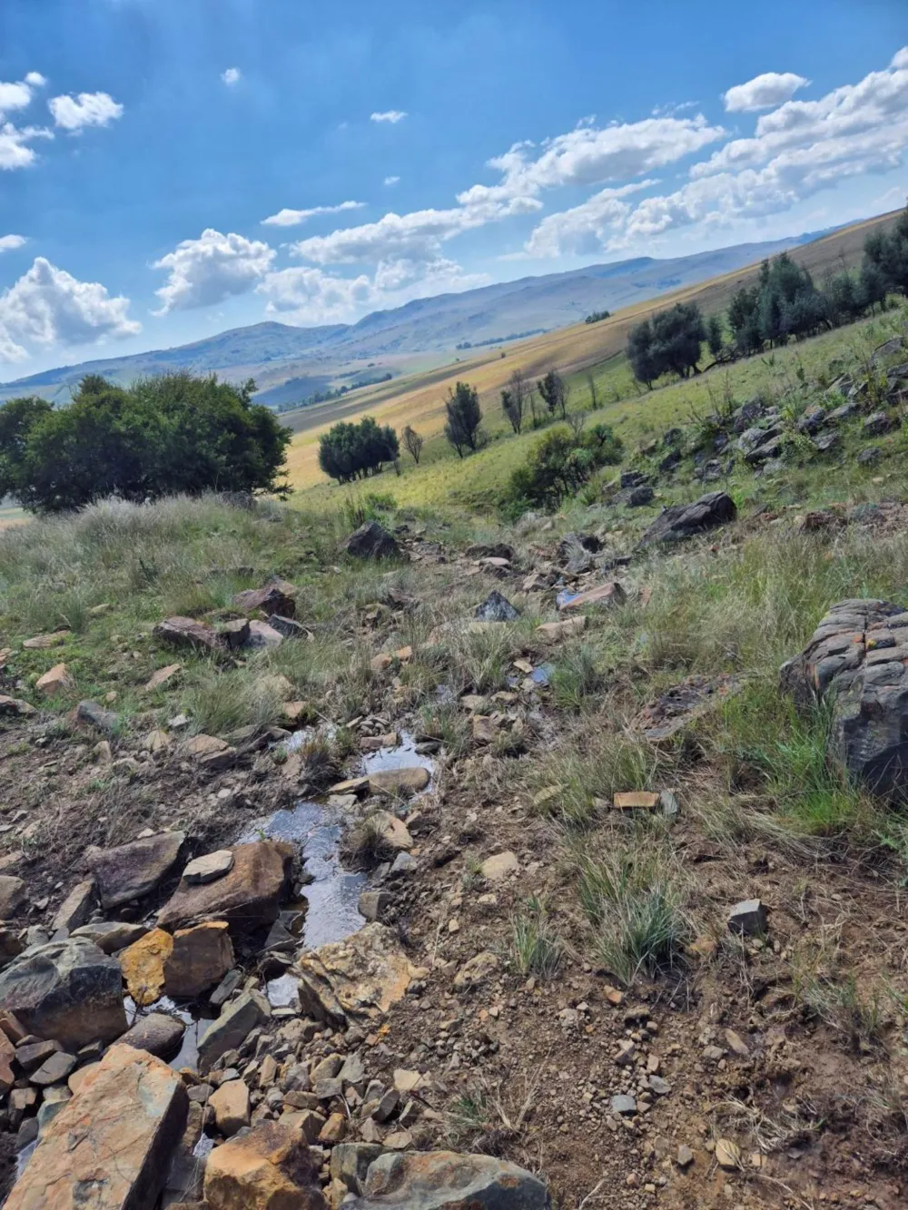 Mixed use farm for sale in Dullstroom - 1DS1740705 Mixed use farm for sale in Dullstroom - 1DS1740705