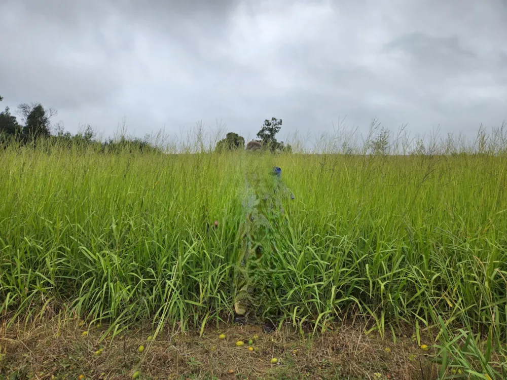 Mixed use farm for sale in Dullstroom - 1DS1740705 Mixed use farm for sale in Dullstroom - 1DS1740705