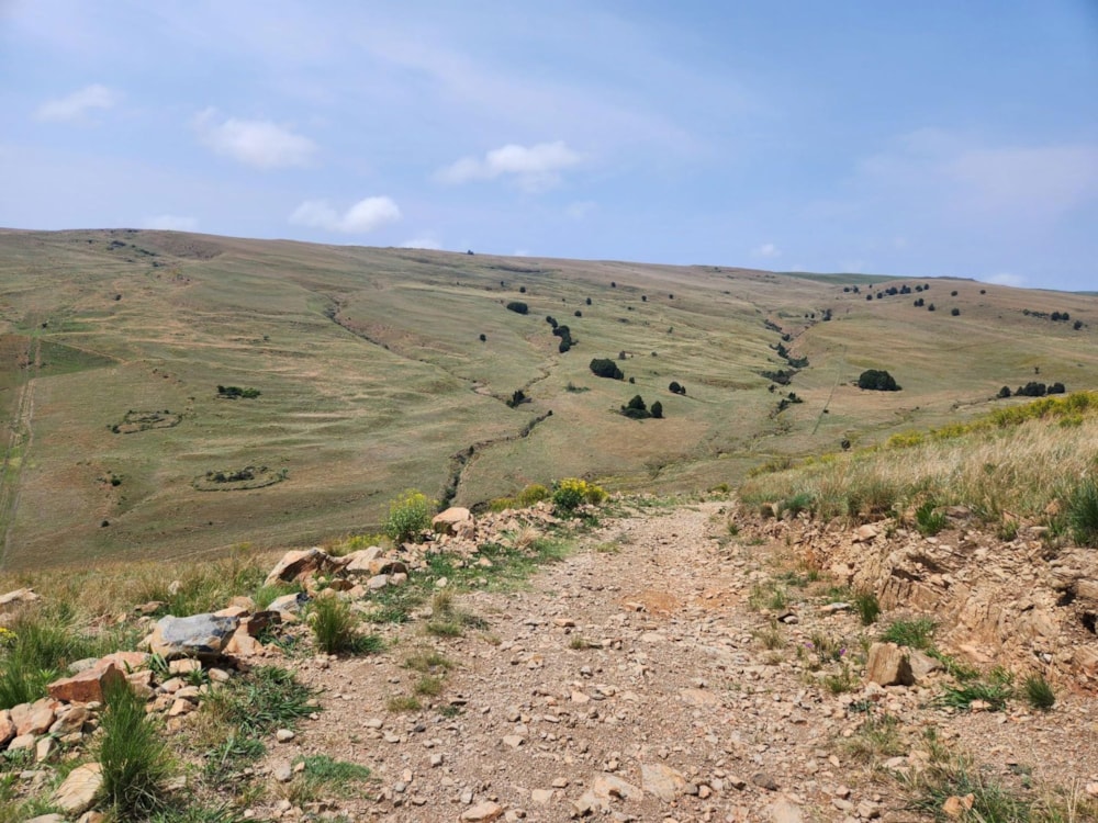 Mixed use farm for sale in Dullstroom - 1DS1740705 Mixed use farm for sale in Dullstroom - 1DS1740705