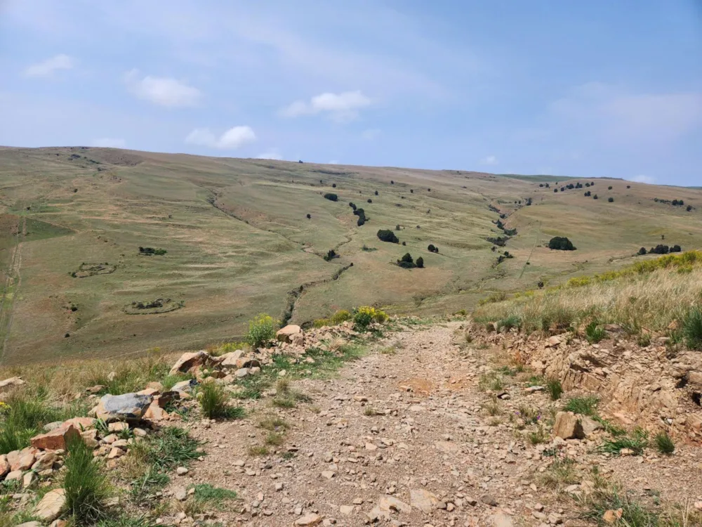 Mixed use farm for sale in Dullstroom - 1DS1740705 Mixed use farm for sale in Dullstroom - 1DS1740705