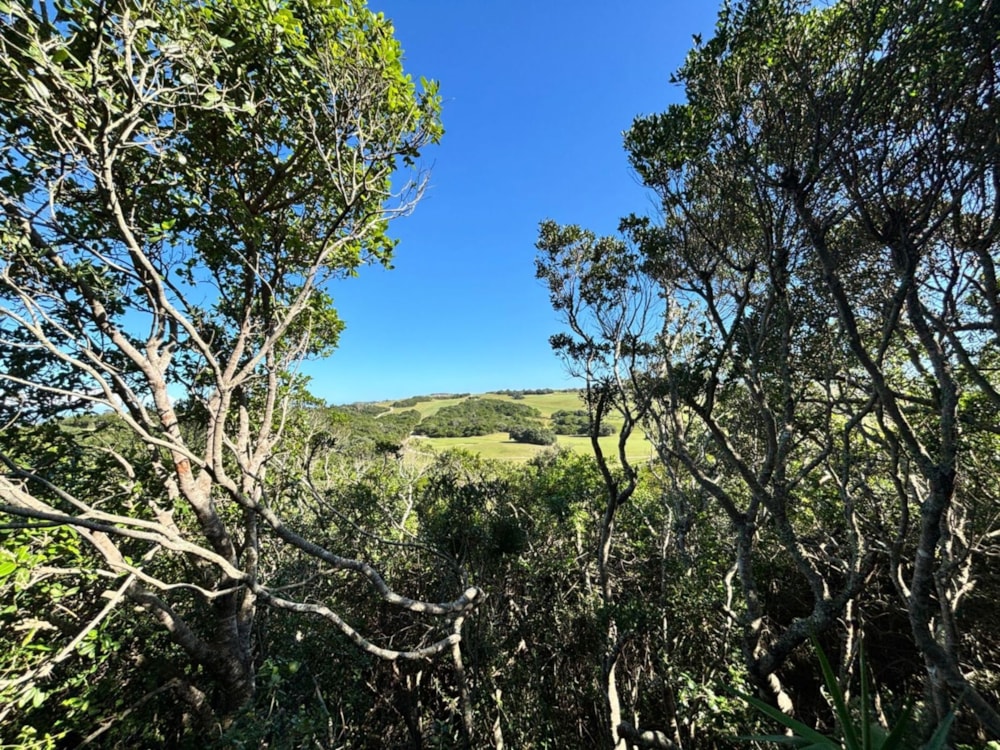 Apartment to rent in Port Alfred - 1PF1739902 Apartment to rent in Port Alfred - 1PF1739902