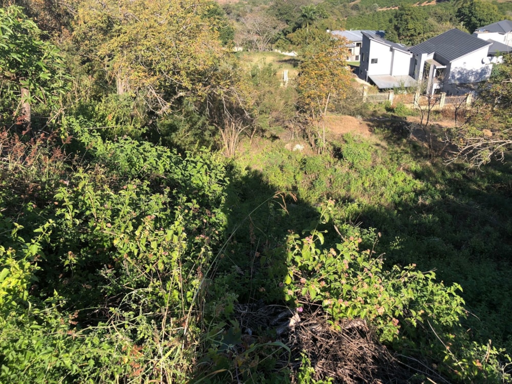 Residential vacant land for sale in Drum Rock - 1NS1743190 Residential vacant land for sale in Drum Rock - 1NS1743190