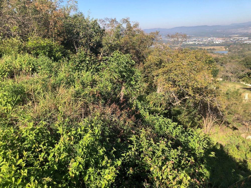 Residential vacant land for sale in Drum Rock - 1NS1743190 Residential vacant land for sale in Drum Rock - 1NS1743190