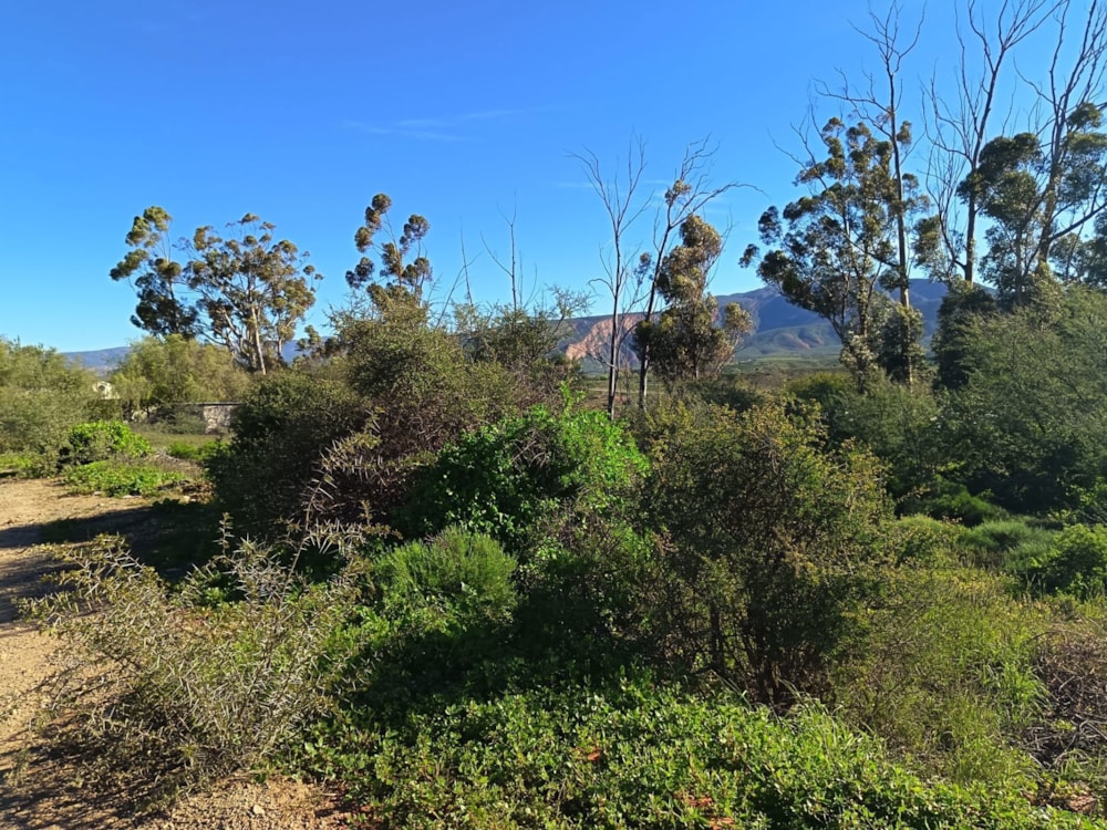 Vacant land for sale in Calitzdorp - 1OU1742965