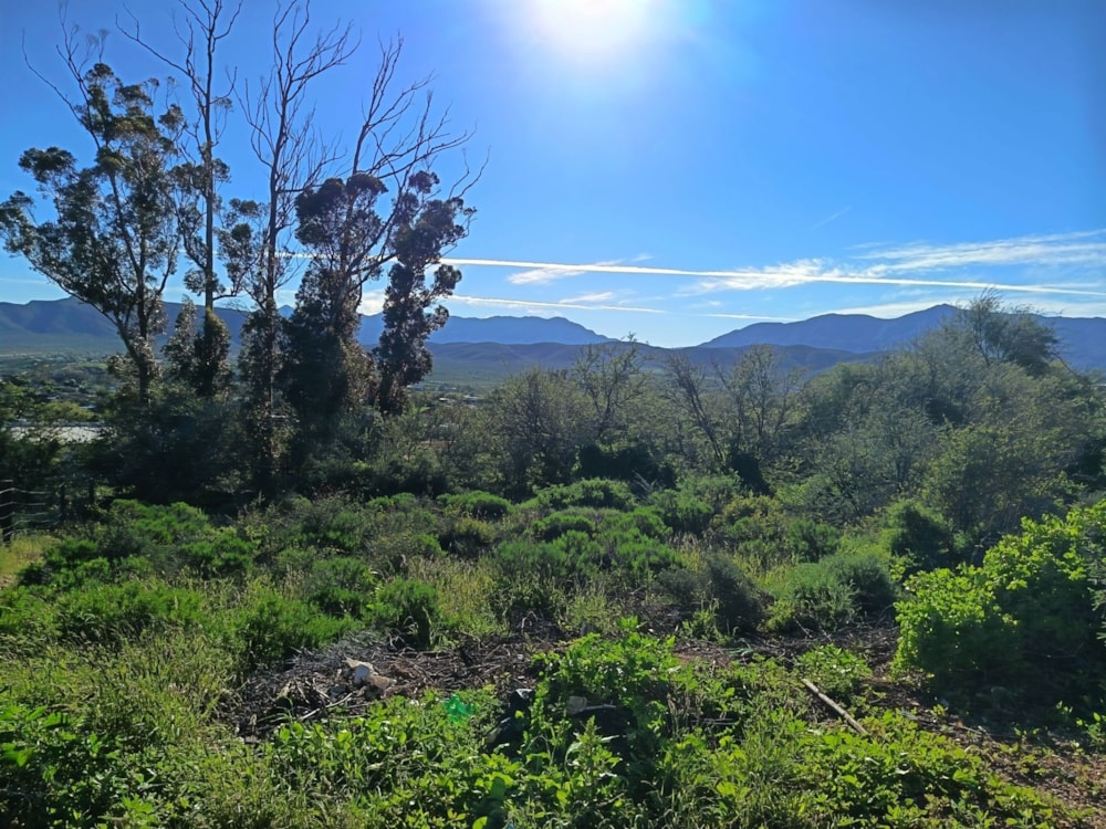 Vacant land for sale in Calitzdorp - 1OU1742965